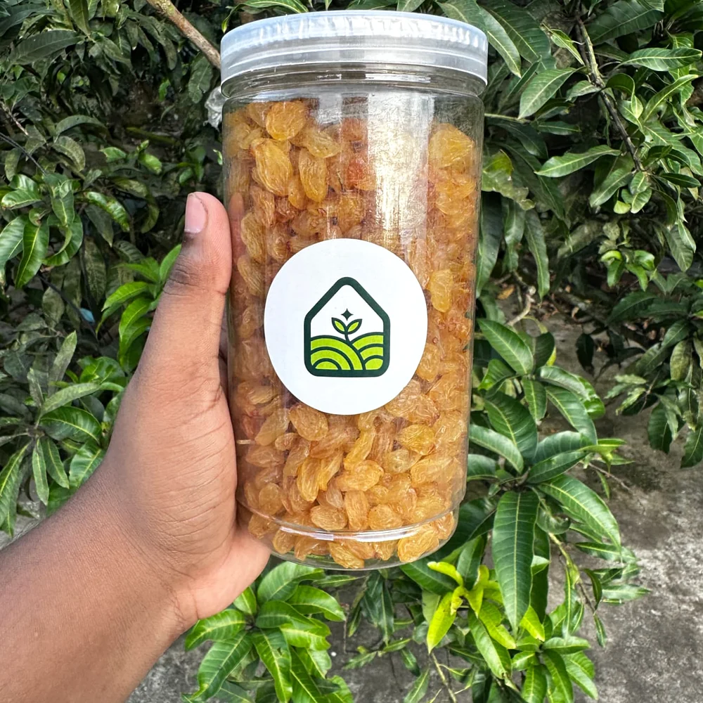 গোল্ডেন কিসমিস