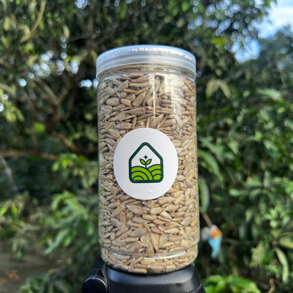 সূর্যমুখীর বিচি